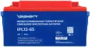 Батарея для ИБП Ippon IPL12-65 12В 65Ач (1850445)